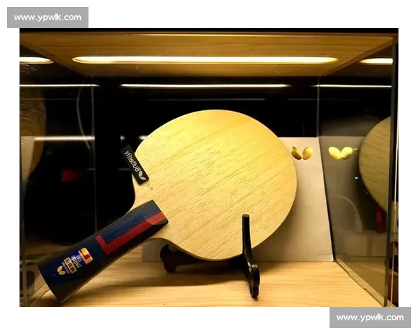 水谷隼与林高远巅峰对决背后的技术博弈与心理较量解析全景观察